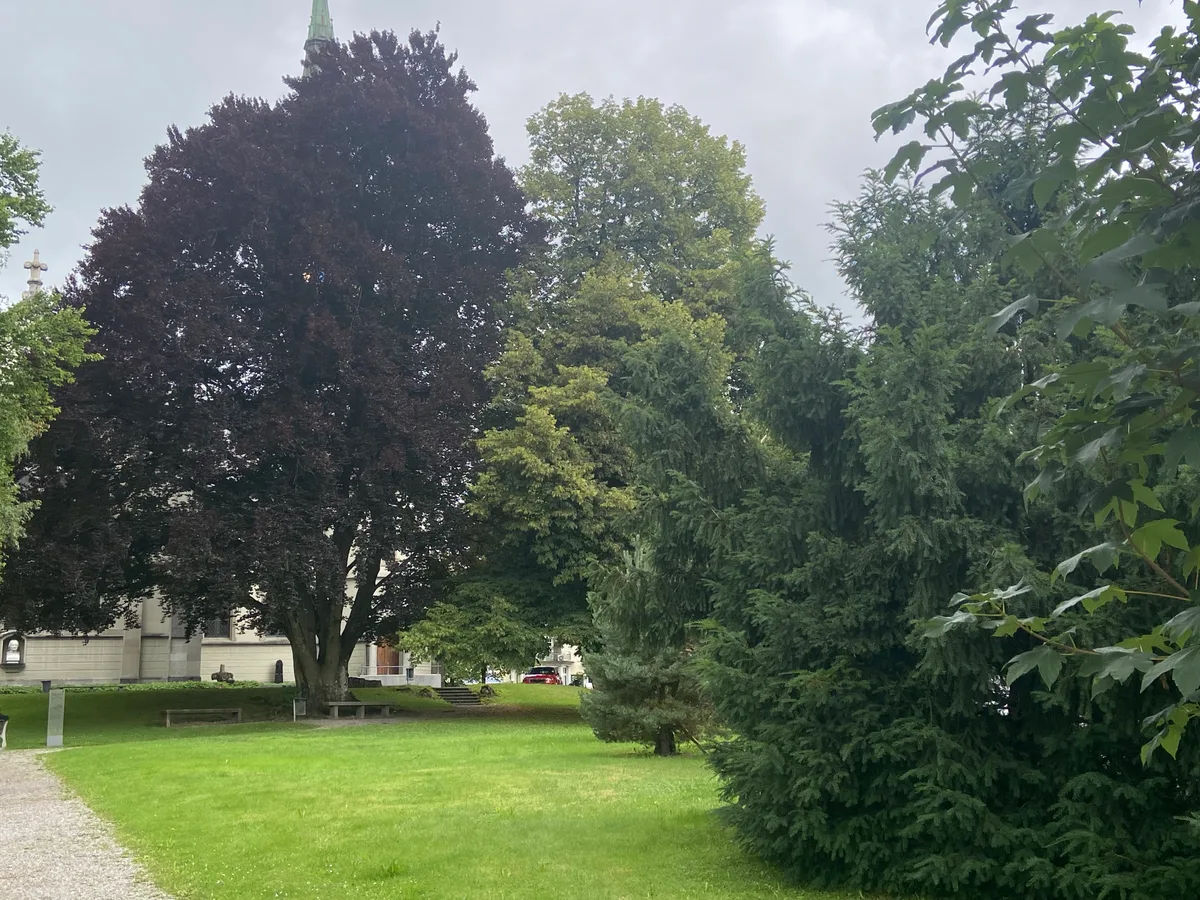 Ein Park vor einer Kirche. Dazu gibt es viele verschiedene Bäume.